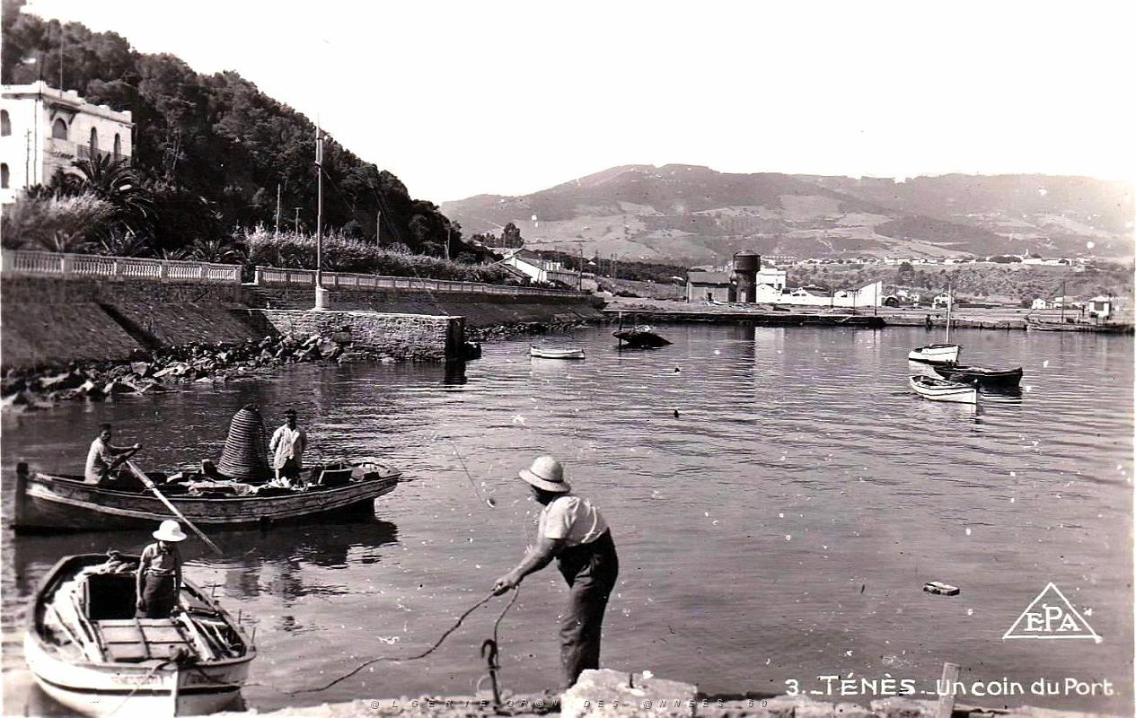 703- Tenes - Un coin du port.jpg